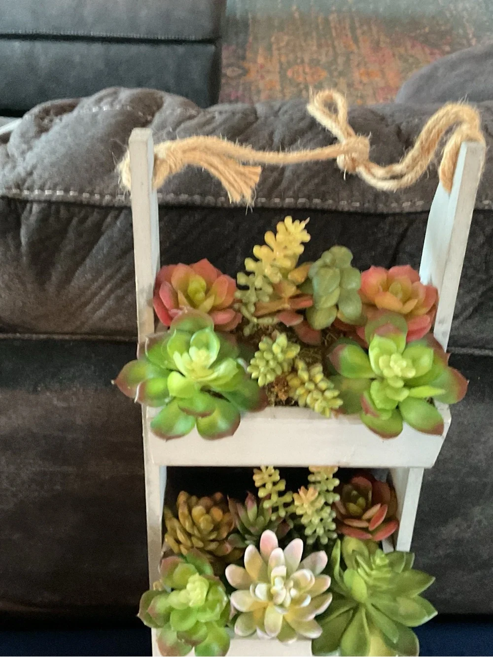 Rustic Hanging Ladder Planter with Green Succulents